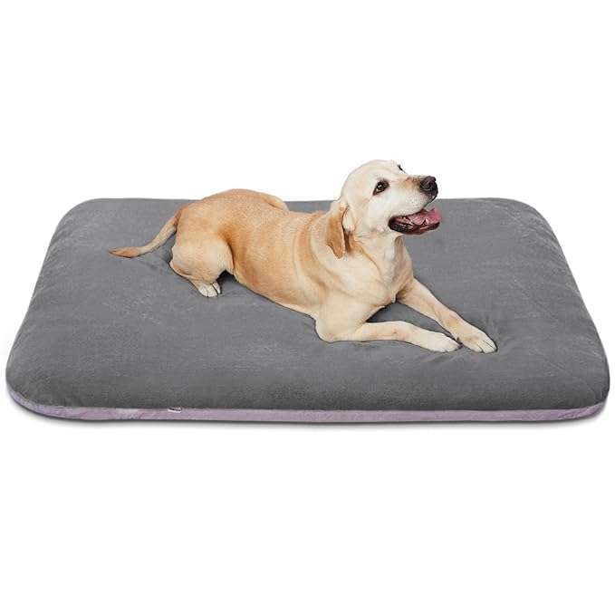 best Pet mattress