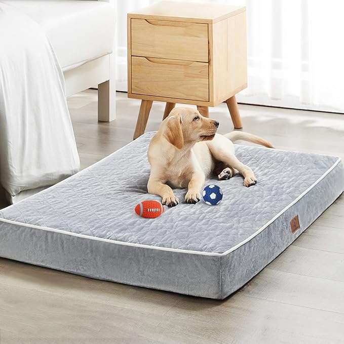 best Pet mattress